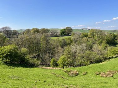 Kırsal alan, çayırları, deresi, çiftlikleri ve tepeleri olan Cowling, İngiltere 'de bir bahar günü.