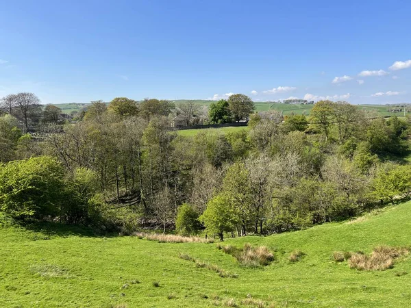 Kırsal alan, çayırları, deresi, çiftlikleri ve tepeleri olan Cowling, İngiltere 'de bir bahar günü.
