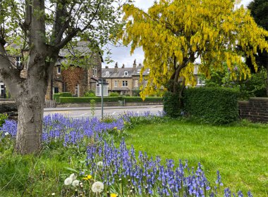 Çan çiçekli bir banliyö bahçesi, Victorian taşından evlere yakın, ve Bradford, Yorkshire, İngiltere 'de ana yol.