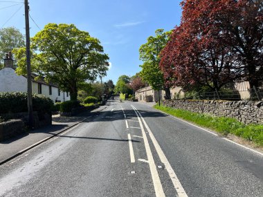 A65 yolu boyunca, Coniston Cold 'da, eski ağaçlarla, kuru taş duvarlarla ve kulübelerle, Coniston Cold, Skipton, İngiltere