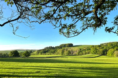 Yorkshire Dales akşam manzarası, geniş tarlalar, ağaçlar ve uzun gölgeler, Eshton, Skipton, İngiltere