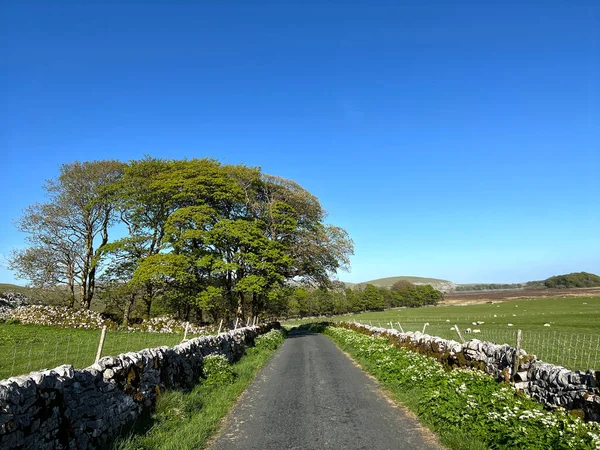 乡间小路 有干枯的石墙 穿过荒野通往英国斯克普敦的Malham — 图库照片