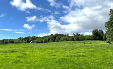 Büyük açık arazi, Hirst Wood, Shipley, İngiltere 'ye doğru bakıyor.