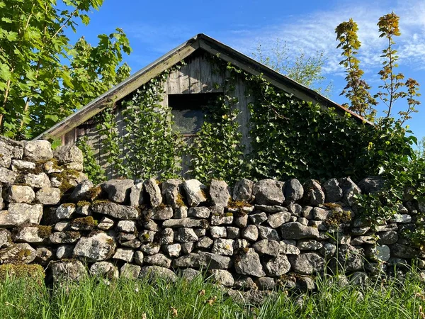 Vecchio Capannone Legno Sorgeva Vicino Muro Secco Una Giornata Sole — Foto Stock