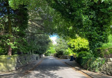 Huzurlu bir manzara, Gilstead Lane, geç bir bahar gününde, Shipley Glen, Baildon, İngiltere