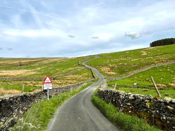 Henside Road Högt Upp Heden Med Torra Stenmurar Vilt Gräs — Stockfoto