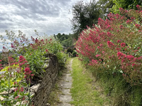 Caminho Velho Forrado Com Flores Vermelhas Selvagens Dia Primavera Nublado — Fotografia de Stock