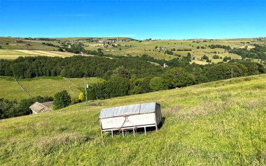Kırsal alan, Dry Carr Yolu, eğimli alanlar, eski ağaçlar, çiftlikler ve yakınlardaki tepeler, Halifax, İngiltere