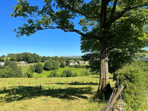 View Fields Hills Close Village Grindleton Clitheroe — Stock Fotó