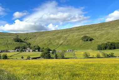 Yorkshire Dales manzarası, tarlaları, ağaçları ve uzaktaki güzel köyü, Halton Gill, Skipton, İngiltere