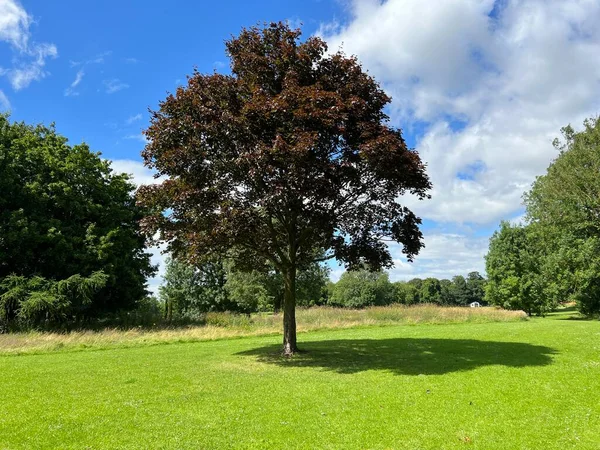 Looking Green Space Cut Grass Trees Kirk Lane Yeadon — Stock Fotó