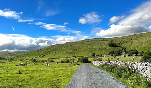 Yorkshire Dales manzarası, Halton Gill ve Foxup, İngiltere 'ye bakıyor.