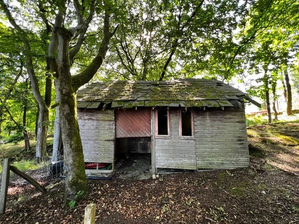 Old Wooden Shack Edge Woodland Hot Summers Day Delph Oldham — Photo
