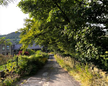 Kırsal alan, dar bir yol, yabani bitkiler, ağaçlar ve uzak tepeler, School Lane, Marsden, İngiltere