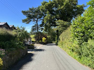 Grindleton, Clitheroe, İngiltere 'de güneşli bir günde yabani bitkiler, evler ve yaşlı ağaçlarla birlikte Whitehall Lane' e bakın.