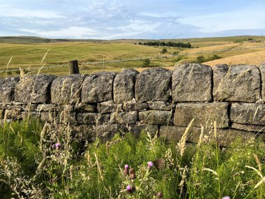Kuru bir taş duvarın, yakınlardaki tarlaların ve tepelerin üzerinden, Castleshaw Aşağı Rezervuarı, Oldham, İngiltere 