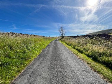 Newton, Lancashire, İngiltere 'deki kuru taş duvarlar, yabani bitkiler ve tarlalarla yukarı bakıyorum.