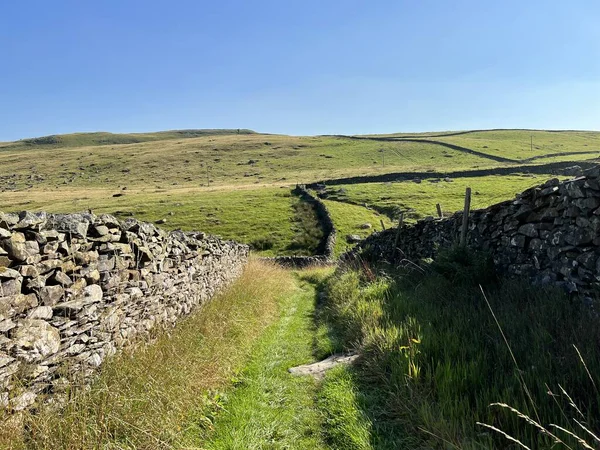 Grass Covered Cart Track Leading Fields Yorkshire Dales National Park — Foto Stock