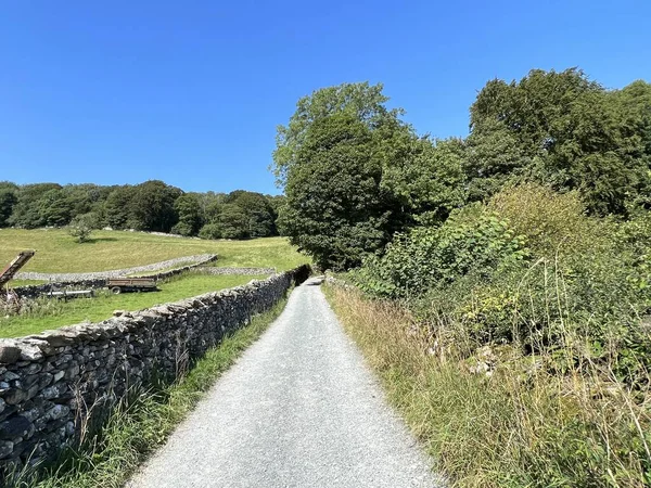 View Clapdale Lane Wild Plants Dry Stone Walls Old Trees — Stockfoto