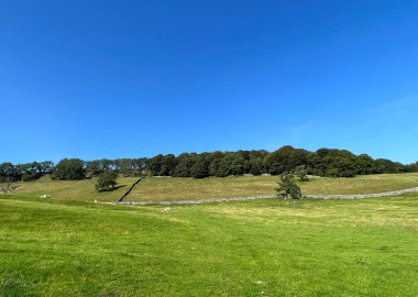 Tranquil landscape, with extensive fields, sheep, and trees, set against a vivid blue sky near, Clapham, UK