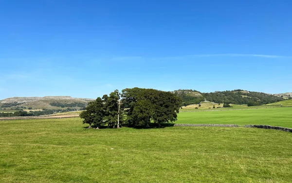 Panoramic Rural Landscape Extensive Fields Dry Stone Walls Distant Hills — Stock fotografie