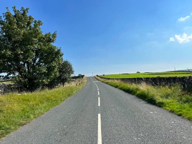 Looking up, Graystonber Lane, on a late afternoon, with wild plants and trees near, Austwick, UK 