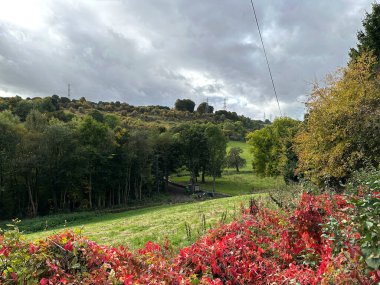 Güz manzarası, Wood Bottom Lane, Brighouse, İngiltere