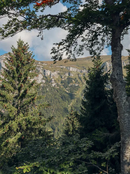 Góry Alpi Feltrine Południowo Wschodnie Alpy Włochy — Zdjęcie stockowe