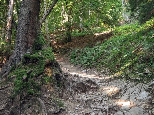 Alpi Feltrine Dağları. Güneydoğu Alpleri. İtalya