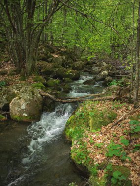 Baharda İtalyan Alpleri 'nin doğası.