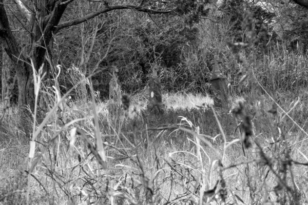 Rust Het Lange Gras — Stockfoto