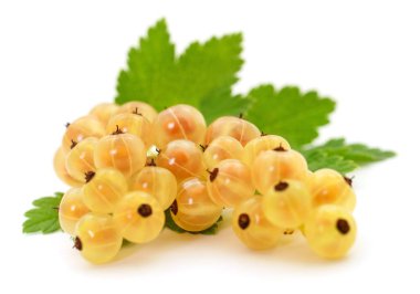 Beyaz arka planda yeşil yapraklı üzümler.