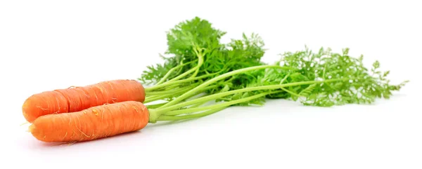 Морковь Листьями Белом Фоне — стоковое фото