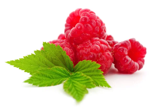 Raspberries Leaves Isolated White Background Royalty Free Stock Photos