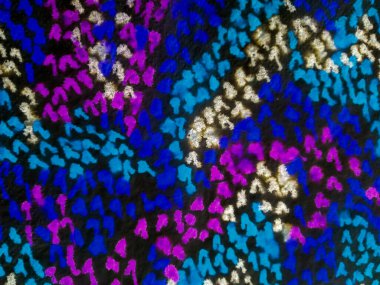 Boyalı Çizgi Soyut Suluboya. Mavi kravat boyalı şerit. Siyah çizgili Ikat deseni. Kravat boyası Grunge desenli Tye Dye Dip dokusu. Çizgili suluboya doku. Çoklu Renkli Çizgili Ombre Efekti.