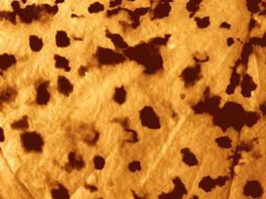 Sarı boya Doğal Tuval. Kırsal Eski Su Rengi Tuvali. Tan Rustic Sıçrama Kağıdı. Eski Işık Dekorasyon Doku Antikası. Eski Hayvan Parşömeni dokusu. Çizgili Kirli Sorunlu Kağıt.