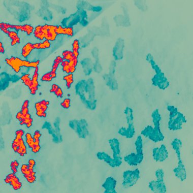 Kar kravatı boyası Grunge. Parlak desenli tasarım. Gök mavisi fırçalı doğa. Kızıl Modern Grunge. Kırmızı Turuncu Grunge Pınarı. Karlı Soyut Boya Fırçası. Ateş Aquamarine Boyalı. Mavi Kış İpeği.