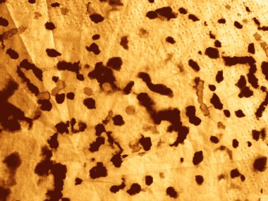 Çizgili Eski Doğal Grunge. Sarı Hat Sorunlu Kağıt. Koyu sarı parşömen dokusu. Eski Stripe Şablon Lekesi. Eski Sıcak Hasarlı Leke. Rustic Tan Suluboya Grunge. Eski Kahverengi Arkaplan Dokusu