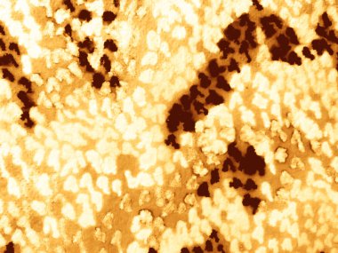 Sarı Tan Doğal Grunge. Eski Rustik Parşömen dokusu. Kırsal Tan Suyu Renkli Grunge. Tan Stripe sıçrama şekli. Eski Darbe Hasarlı Nokta. Eski Satır Arkaplan Doku Çizgisi Grain Sıkıntılı Leke.