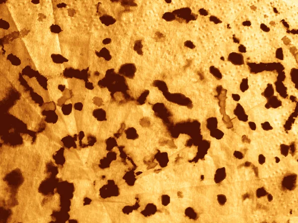 Çizgili Eski Doğal Grunge. Sarı Hat Sorunlu Kağıt. Koyu sarı parşömen dokusu. Eski Stripe Şablon Lekesi. Eski Sıcak Hasarlı Leke. Rustic Tan Suluboya Grunge. Eski Kahverengi Arkaplan Dokusu