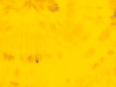 Mor Sıcaklık Düzeni. Sarı Altın Gün Işığı. Altın sarısı fırçalı arka plan. Turuncu Düzen. Düz Bant Tasarımı. Ochre albümü. Mor Soyut Duvar. Sarı Katı Doku. Güneşli Poster. Asit Afişi.