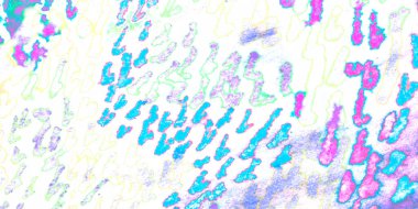 Sıvı Psikedelik Sabun Yağı Spektrumu. Mor Asit Gökkuşağı Sanat Arkaplanı. Çılgın Soyut Parlak Desen. Yeşil Renkli Sabun Tanesi Efekti. Pembe Renkli Eğlenceli Enfes Boya. Mavi Mor Renk Sanat DokusuName