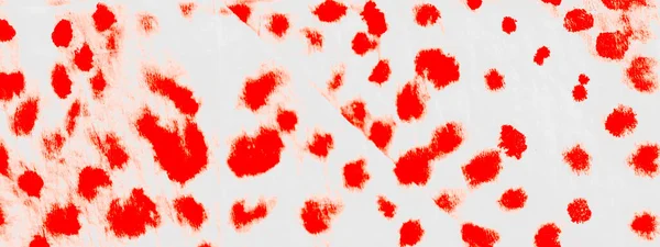 Hafif Kravat Boyası Baskısı Kova Boyası Kirli Sanatlar Pankartı Kan — Stok fotoğraf