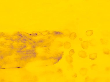 Sarı Düz Moda. Sıcak Bg Düzeni. Turuncu renk. Mor Soyut Duvar. Mor Düz Doku. Mango Posteri. Limon kağıdı. Sarı Dinamik Arkaplan. Solid Sun Sunny Tasarımı. Mor Basit Selamlama.