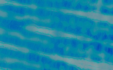 Mavi Sanatsal Kravat Boyası. Aquarelle Boya Fırçası. Sanatsal Kirli Kanva. Glass Suluboya Baskı. Bulut pürüzlü sanat baskısı. Parlak Fırçalı Kağıt. Hafif Yağlı Fırça. Yaz Kaba Sanat YazıcıComment.