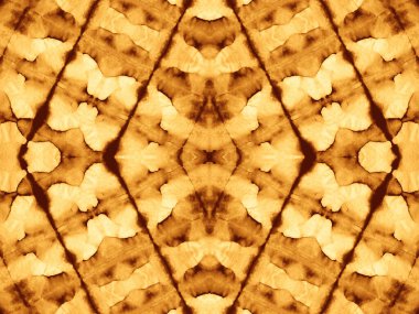 Sarı dikişsiz Zig Zag. Dye Batik 'i bağla. Ochre Soyut Suluboya. Yanmış suluboya boya. Parlak Yağlı Kağıt. Kahverengi Graffiti Tarzı. Krep yağı mürekkebi. Fransız Sanatsal Kanvası.
