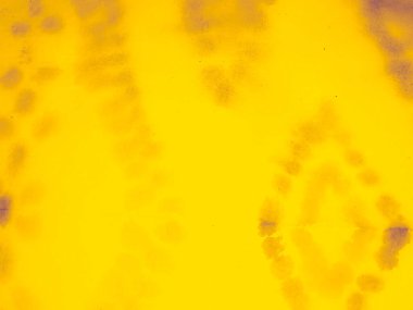 Sarı Düz Doku. Sıcak Güneş Posteri. Mor Fırçalı Arkaplan. Turuncu çarşaf. Sarı Doğa Günışığı. Ochre Tasarım. Sarı Soyut Bg. Sade Altın Limon Düzeni. Güneşli Tasarım. Mor Katı Doku.