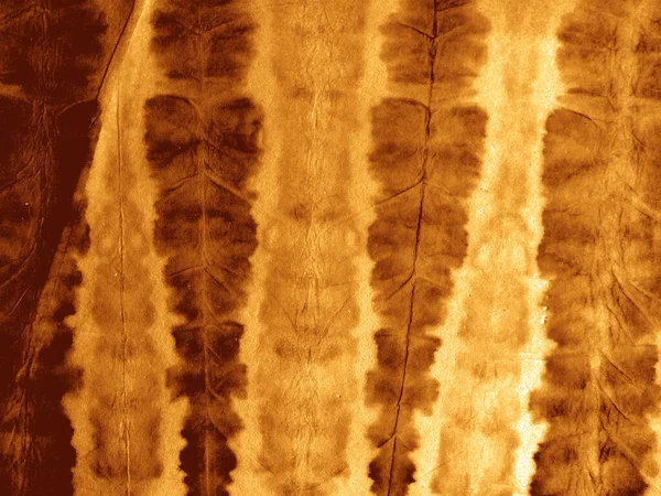Αποτυπώματα Κίτρινη Γραβάτα Υδατογραφία Γκραντζ Φόντο Γαλλική Bokeh Abstract Aquarelle — Φωτογραφία Αρχείου