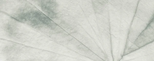 Серый Современный Гриб Серый Ретро Кисть Бумаги Белая Облачная Текстура — стоковое фото