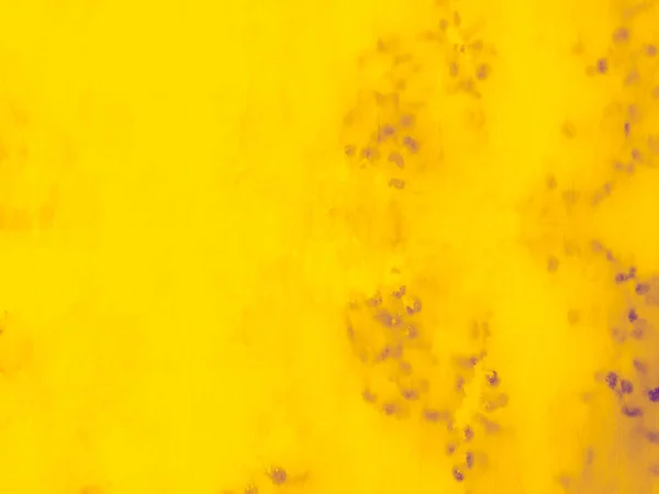 Żółty Płaski Wzór Fioletowy Streszczenia Układ Mango Fioletowa Słoneczna Faktura — Zdjęcie stockowe